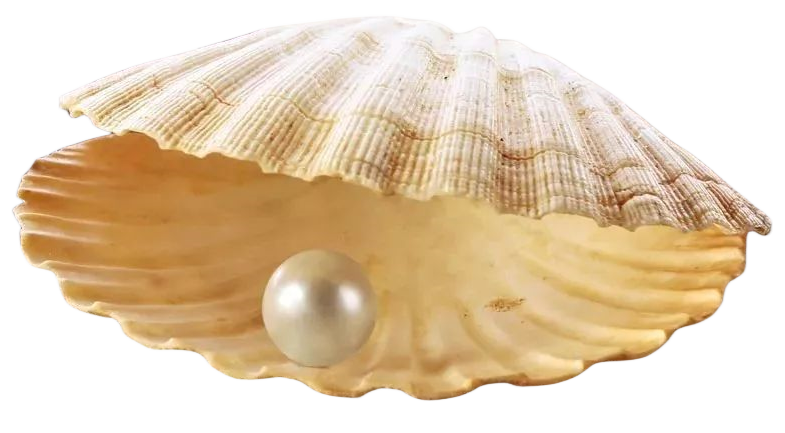 珍珠（123）.png